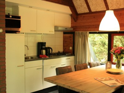 Holiday park Forest Hideaway with Fireplace - Features photo 6