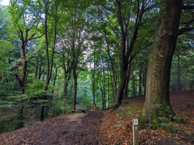 Holiday park Ferienhaus in Gelderland mit Garten - Environment photo 18