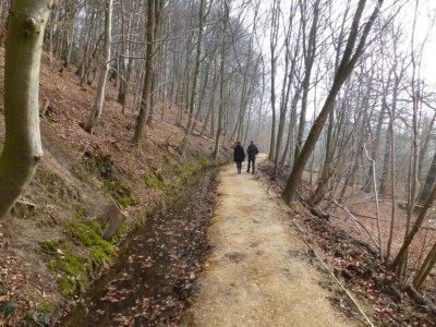 Holiday park Ferienhaus in Gelderland mit Garten - Environment photo 22