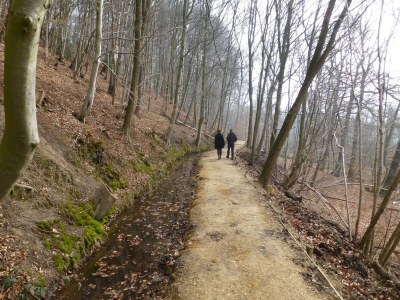 Holiday park Ferienhaus in Gelderland mit Garten - Environment photo 30