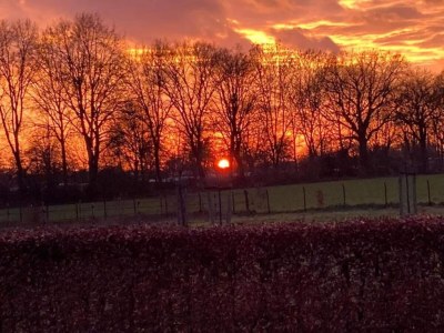 Holiday park Ferienhaus in Gelderland mit Garten - Environment photo 31