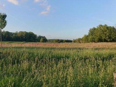 Holiday park Ferienhaus in Gelderland mit Garten - Environment photo 33