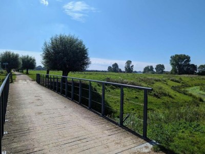 Holiday park Ferienhaus in Gelderland mit Garten - Environment photo 34