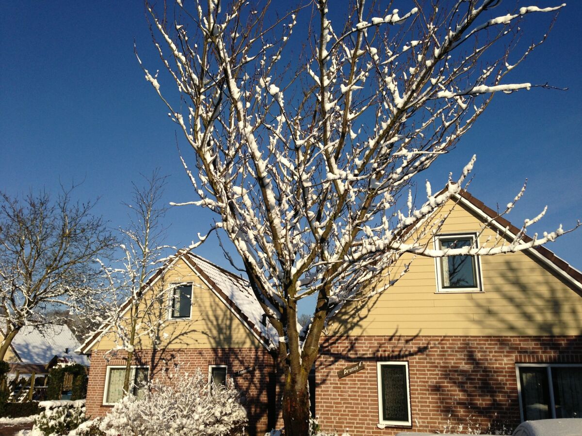 Holiday park Holiday Home in Netherlands with Private Garden - Outdoor photo 2