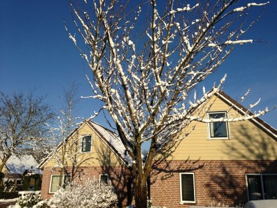 Holiday park Holiday Home in Netherlands with Private Garden - Outdoor photo 2