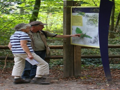 Holiday park Holiday Home in Netherlands with Private Garden - Environment photo 18