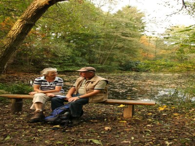 Holiday park Holiday Home in Netherlands with Private Garden - Environment photo 23