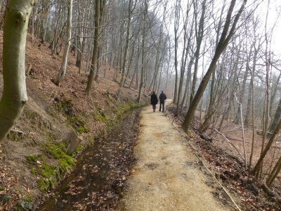 Holiday park Holiday Home in Netherlands with Private Garden - Environment photo 24