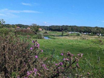 Holiday park Holiday Home in Netherlands with Private Garden - Environment photo 27