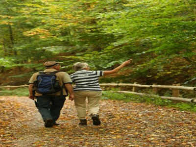 Holiday park Holiday Home in Netherlands with Private Garden - Environment photo 36