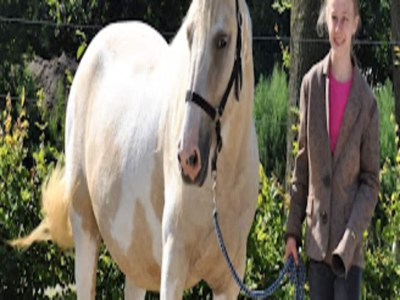 Holiday park Schicker Aufenthalt in der Heidelandschaft - Outdoor photo 22