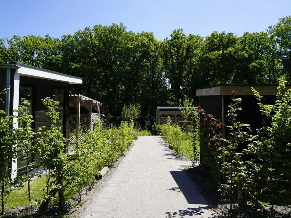Holiday house Luxury holiday home surrounded by water and forest - Outdoor photo 4
