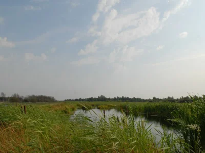 Holiday park Waterfront Stay w/ Private Dock - Environment photo 18