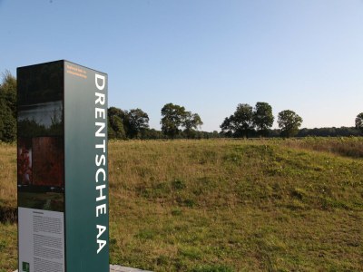 Holiday park Spacious holiday home with garden - Environment photo 14