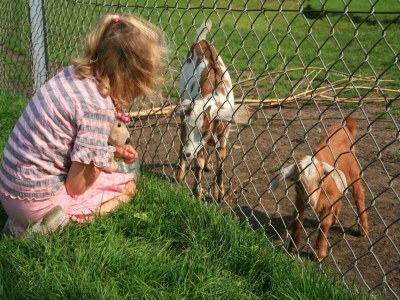 Holiday park Spacious holiday home with garden - Outdoor photo 21