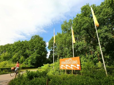 Holiday park Tidy house near Emslandermeer - Environment photo 23