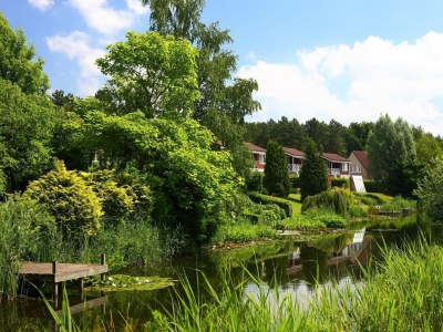 Holiday park Tidy house near Emslandermeer - Environment photo 25