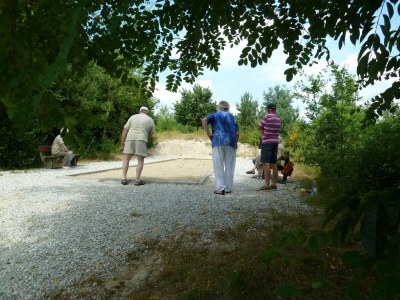 Holiday park Tidy house near Emslandermeer - Environment photo 34