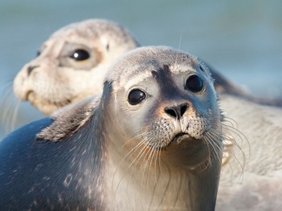 Holiday park Ruhiger Aufenthalt in Vlagtwedde - Environment photo 17