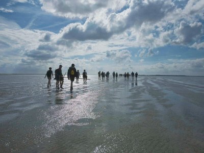 Holiday park Nature Escape w/ Balcony - Environment photo 7