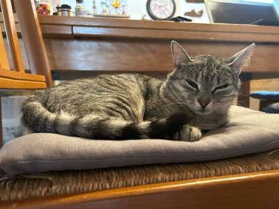 Holiday room Doppelzimmer mit Gemeinschaftsbad - Outdoor photo 15