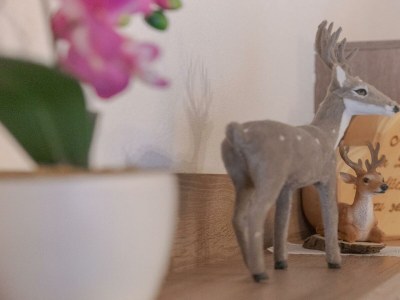 Apartment Ferienwohnung II - Outdoor photo 3