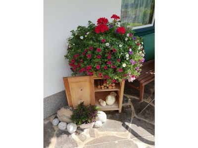 Apartment Ferienwohnung "Bergliebe" - Outdoor photo 9