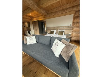 Apartment Lodge "Hase", Wohn-Schlafraum und ein Einzelzimmer - Features photo 11