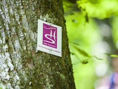 Apartment FeWo Prosterather Wacken - Outdoor photo 6