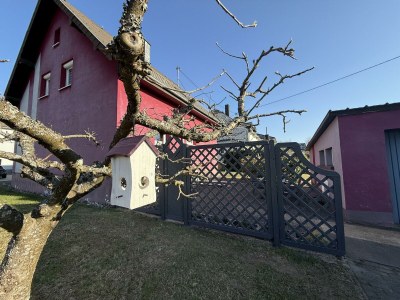 Apartment "Wiesen-Haus" - Outdoor photo 2