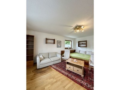 Apartment Appartement Frajo - Blick Hohe Munde - Outdoor photo 8