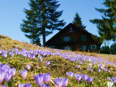 Holiday apartment Staufenblick 1 - Environment photo 16