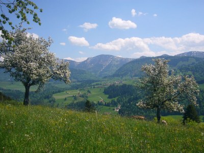 Holiday apartment Staufenblick 1 - Environment photo 28