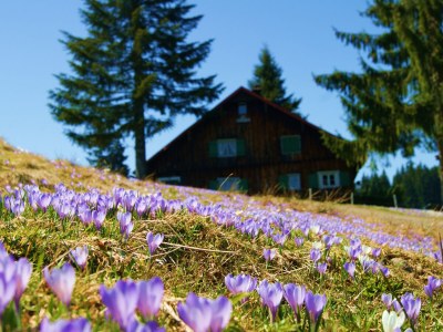 Holiday apartment Staufenblick 1 - Environment photo 30