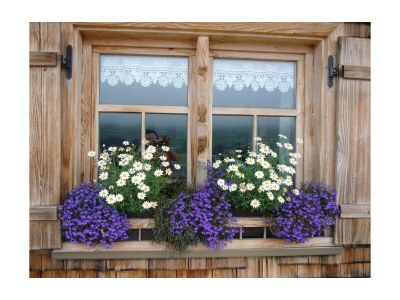 Holiday apartment Ferienwohnung Heidi 1 - Features photo 9