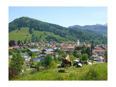 Holiday apartment Ferienwohnung Heidi 1 - Environment photo 11