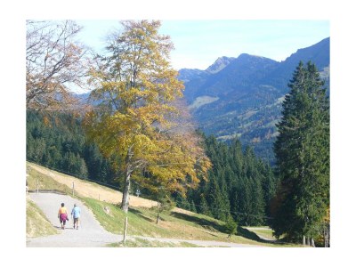 Holiday apartment Ferienwohnung Heidi 1 - Environment photo 14