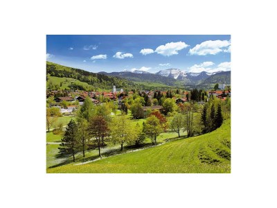 Holiday apartment Ferienwohnung Heidi 1 - Environment photo 19