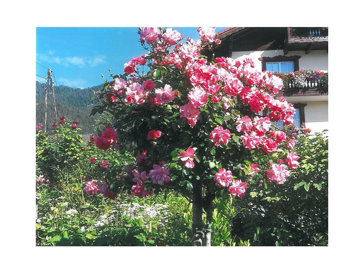 Apartment Apartment/2 Schlafräume/Dusche, WC - Outdoor photo 4