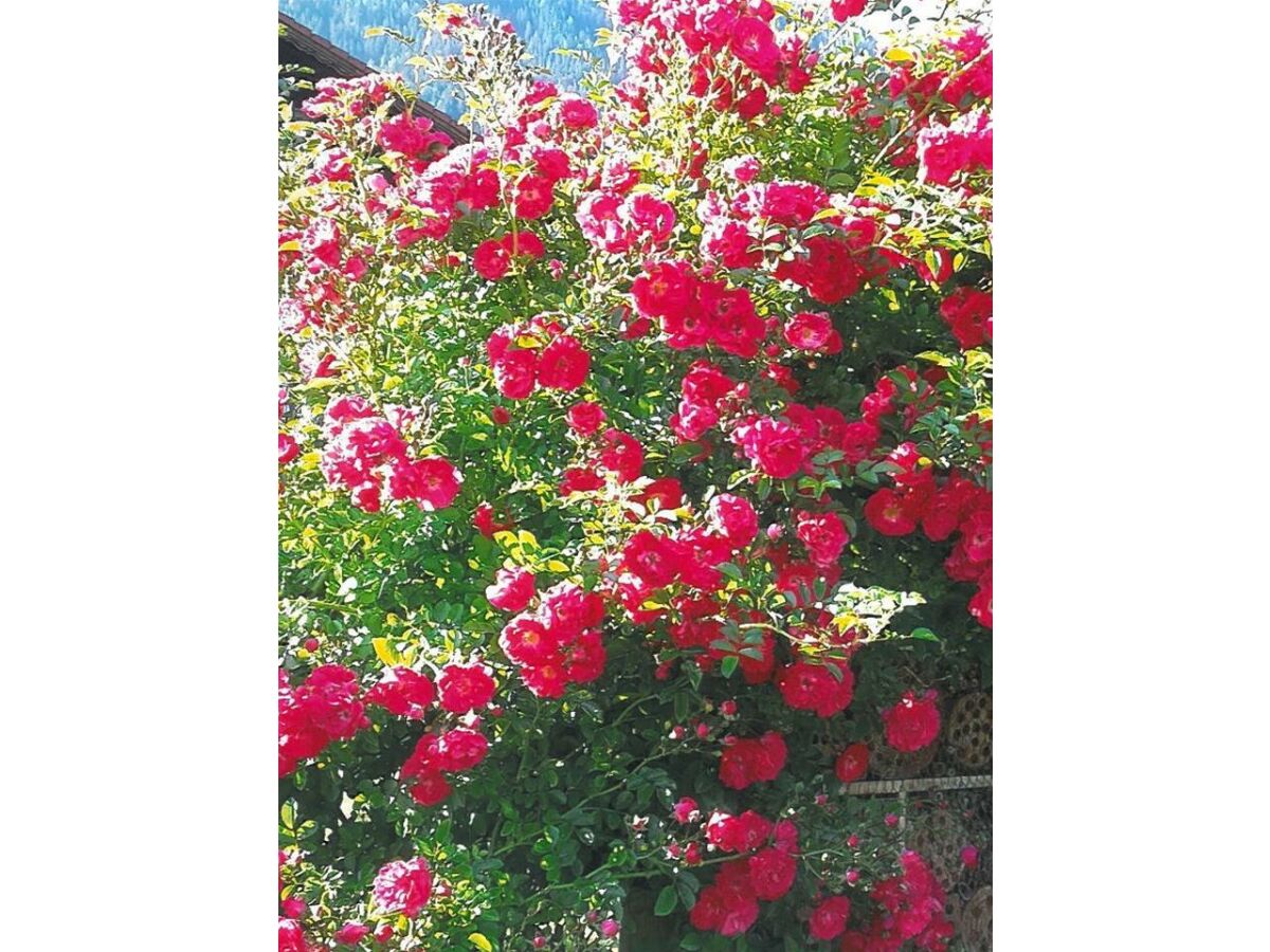 Apartment Apartment/2 Schlafräume/Dusche, WC - Outdoor photo 5