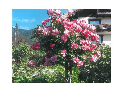 Apartment Apartment/2 Schlafräume/Dusche, WC - Outdoor photo 4