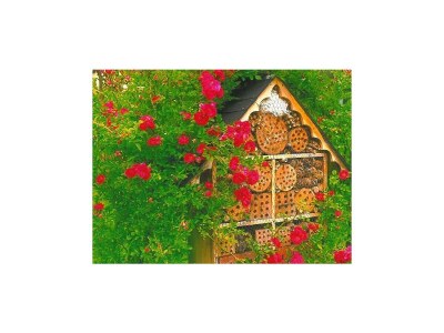 Apartment Apartment/2 Schlafräume/Dusche, WC - Outdoor photo 6