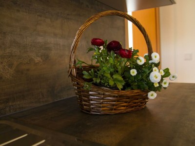 Apartment Appartement/Fewo, Dusche, WC, 2 Schlafräume - Outdoor photo 4