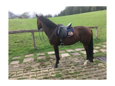 Apartment Appartement/Fewo, Dusche, WC, 2 Schlafräume - Outdoor photo 6