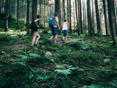 Apartment Appartement/Fewo, Dusche, WC, 2 Schlafräume - Outdoor photo 9