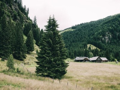 Apartment Appartement/Fewo, Dusche, WC, 2 Schlafräume - Outdoor photo 10