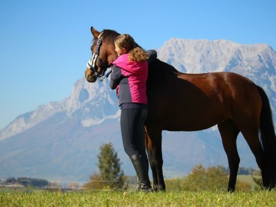 Apartment Appartement/Fewo, Dusche, WC, 2 Schlafräume - Outdoor photo 21