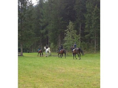 Apartment Appartement/Fewo, Dusche, WC, 2 Schlafräume - Outdoor photo 22