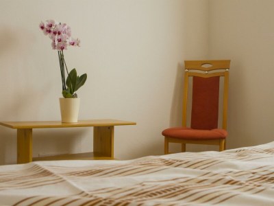 Apartment Appartement/Fewo, Dusche, WC, 2 Schlafräume - Features photo 29