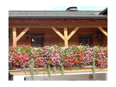 Apartment Appartement/2 Schlafräume/Dusche, WC; B - Outdoor photo 6